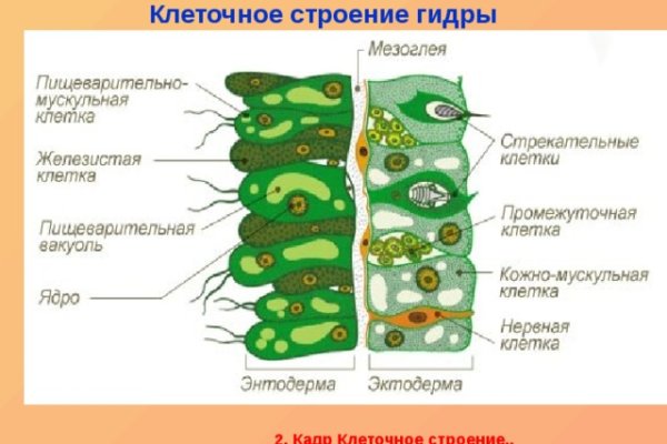 Как найти кракен в торе